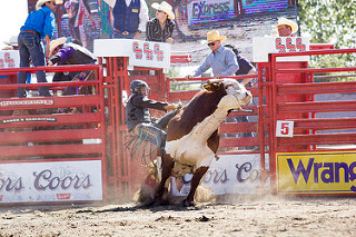 Cloverdale Rodeo